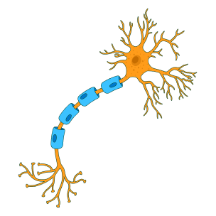 Neurona Artificial